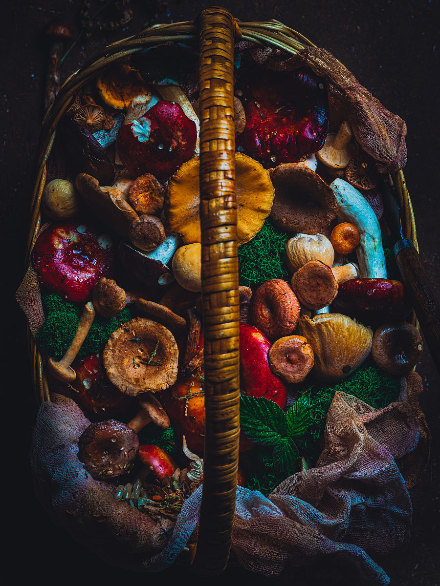 英雄联盟阿木木