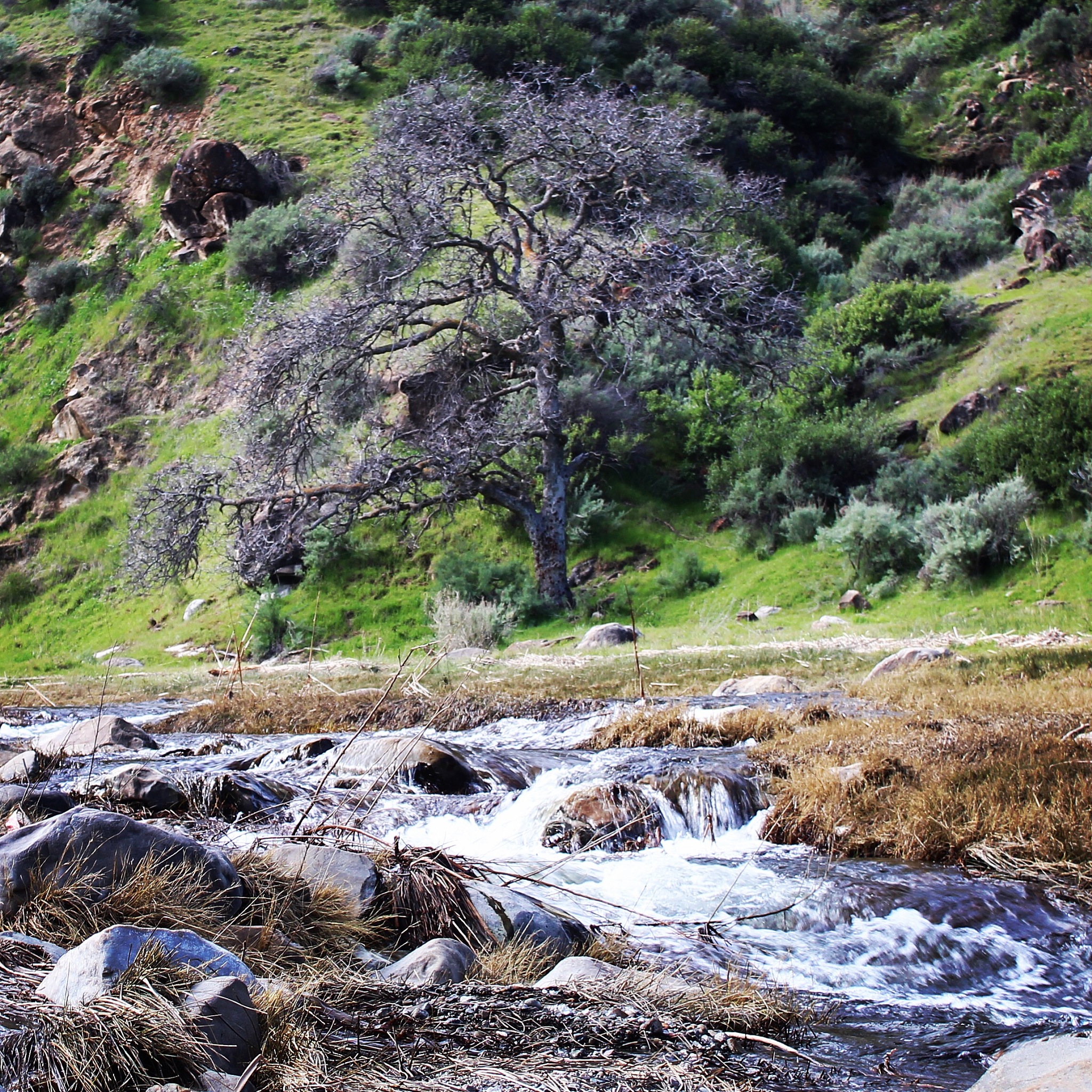 野狼谷景区：探秘原始森林，体验彝族文化