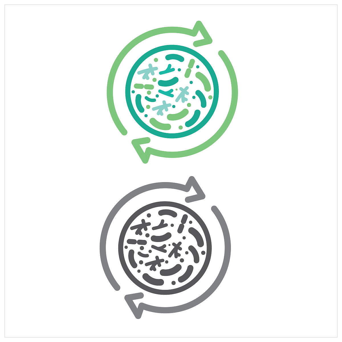 益生菌产品质量鉴定流程一千字