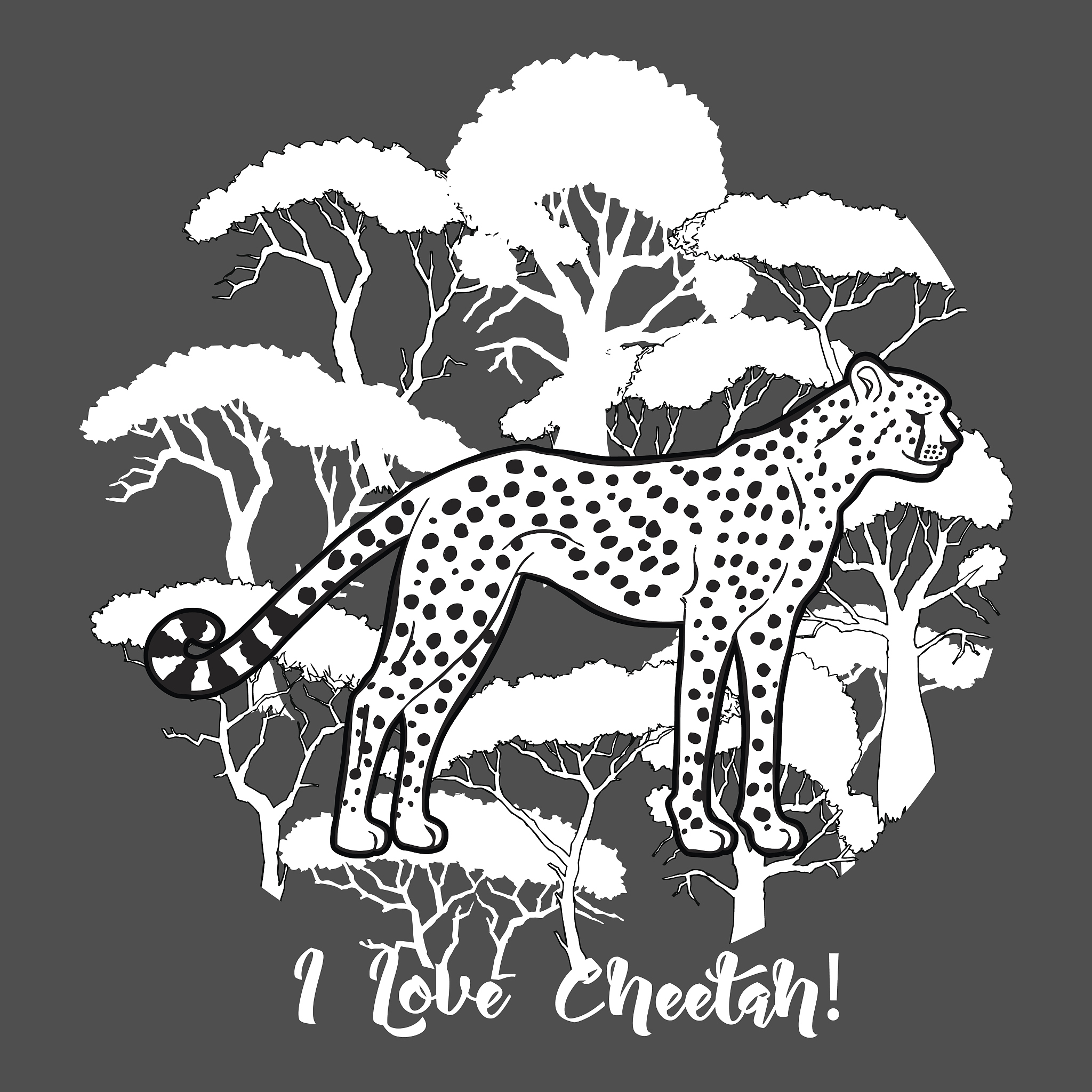 豹猫形象设计灵感：从自然栖息环境元素分析