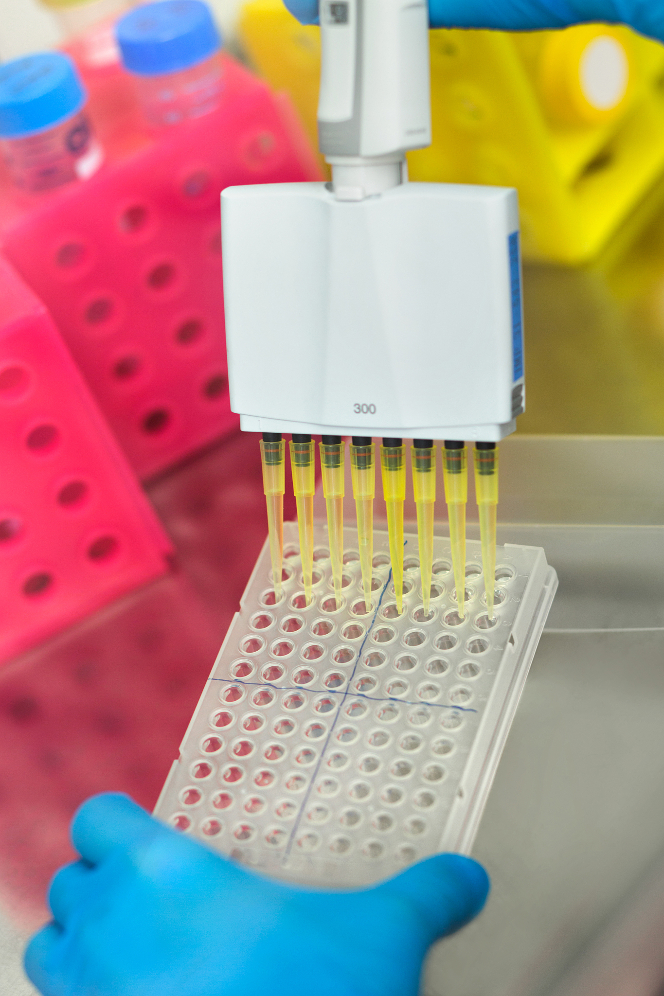 multichannel pipette