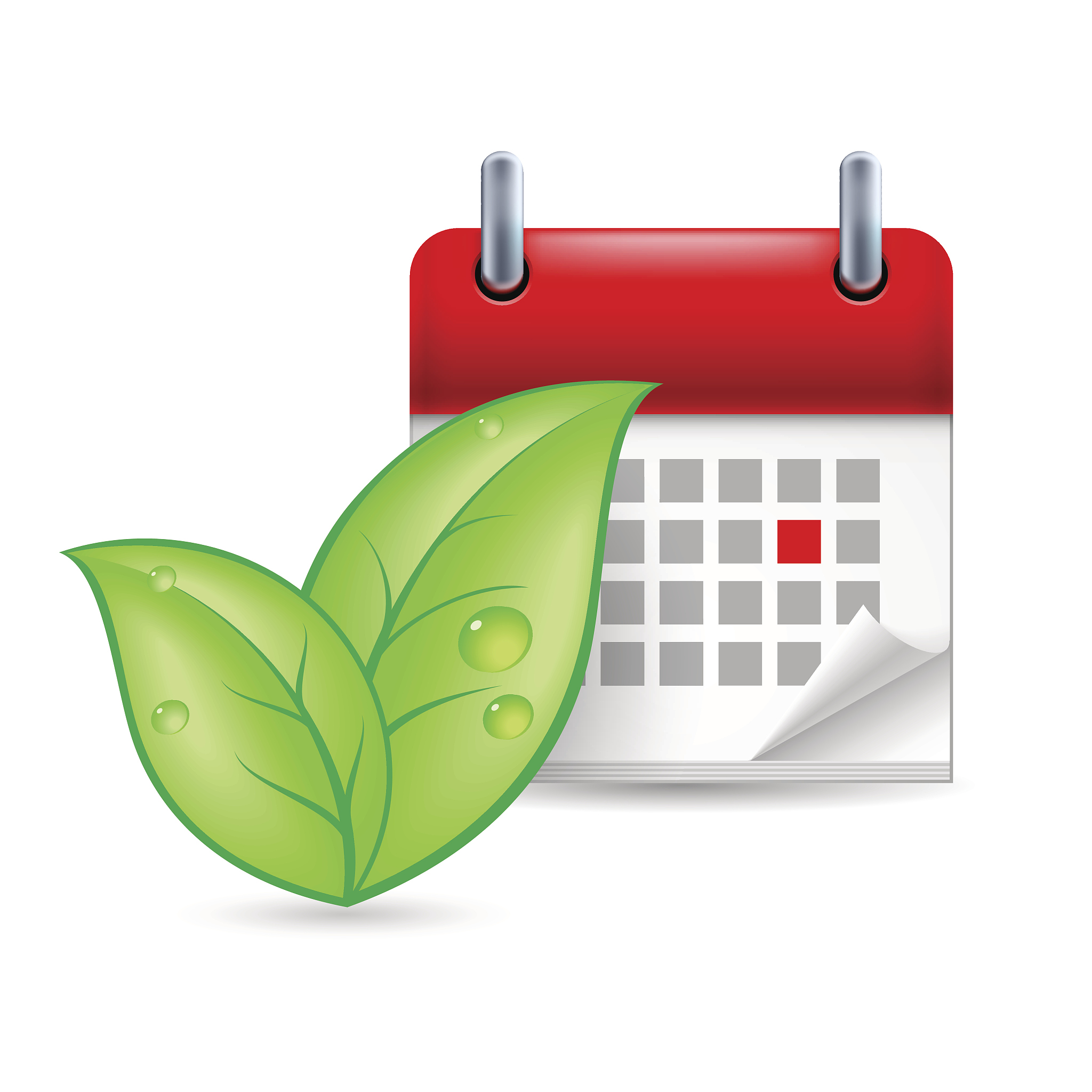 Thus ecological literature is still vague as to if why and how annual plants are presumed to modify their growth strategies when placed along a gradient of variability of the environment When growing