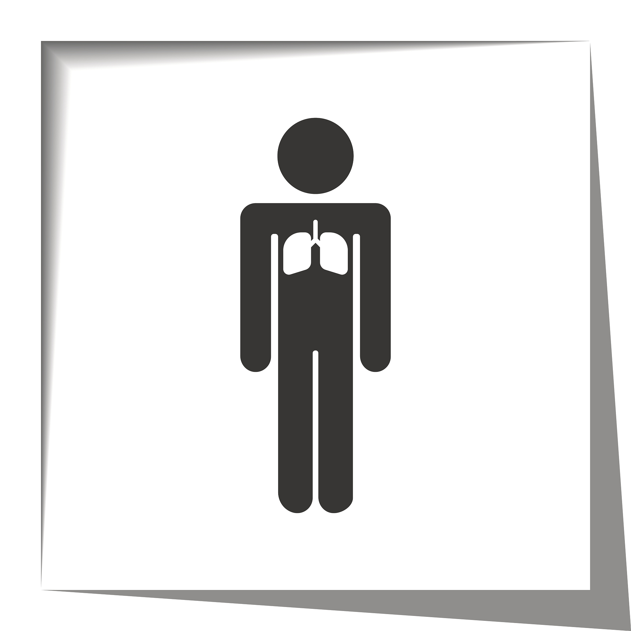 呼气时近端气道压力指示哪一相？