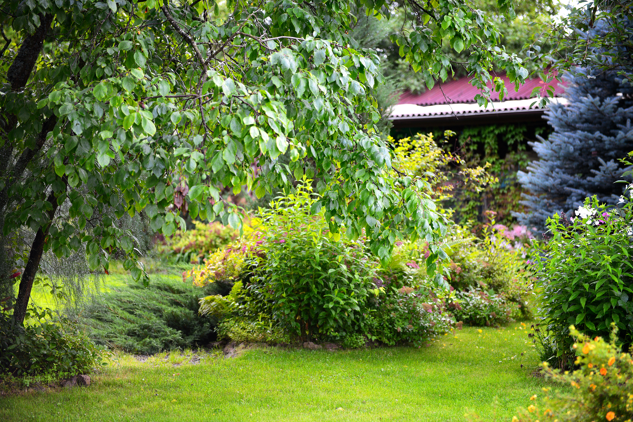 园林植物景观中人对自然植物的依附性