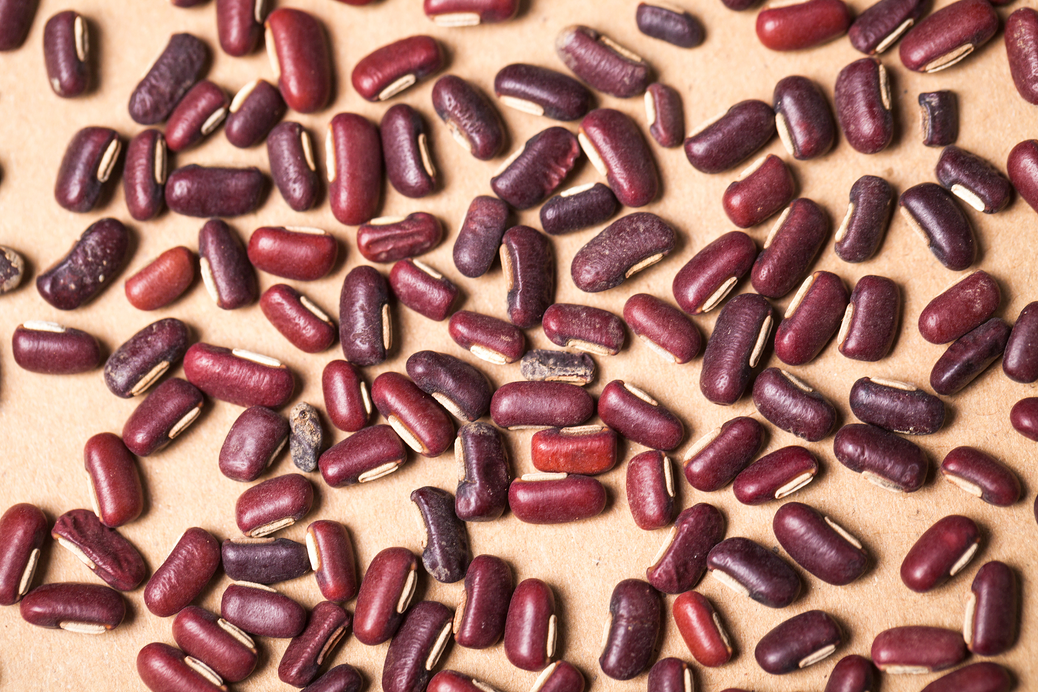 贵州中医药职业学校中草药种植专业怎么样？教学质量深度解析