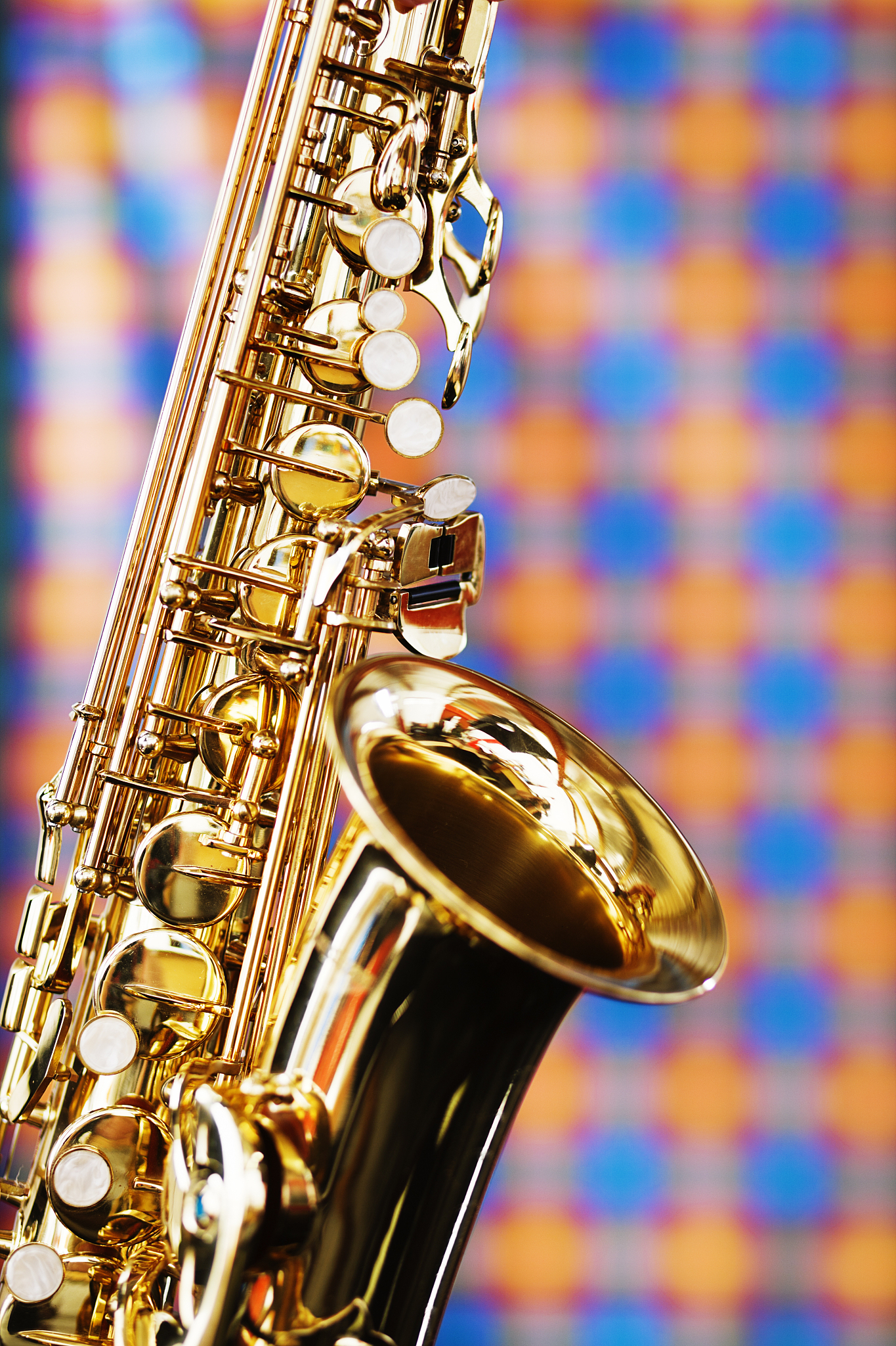 河南大学音乐学专业怎么样？教学质量、师资、设施深度解析