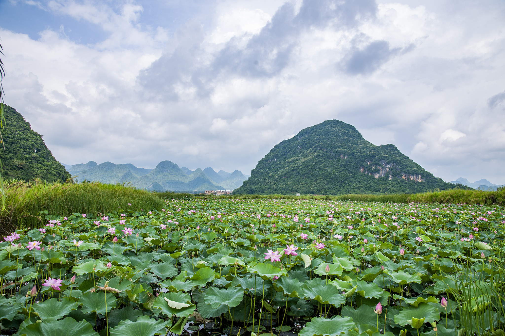 文山州民族职业技术学校2021年招生条件及报名指南