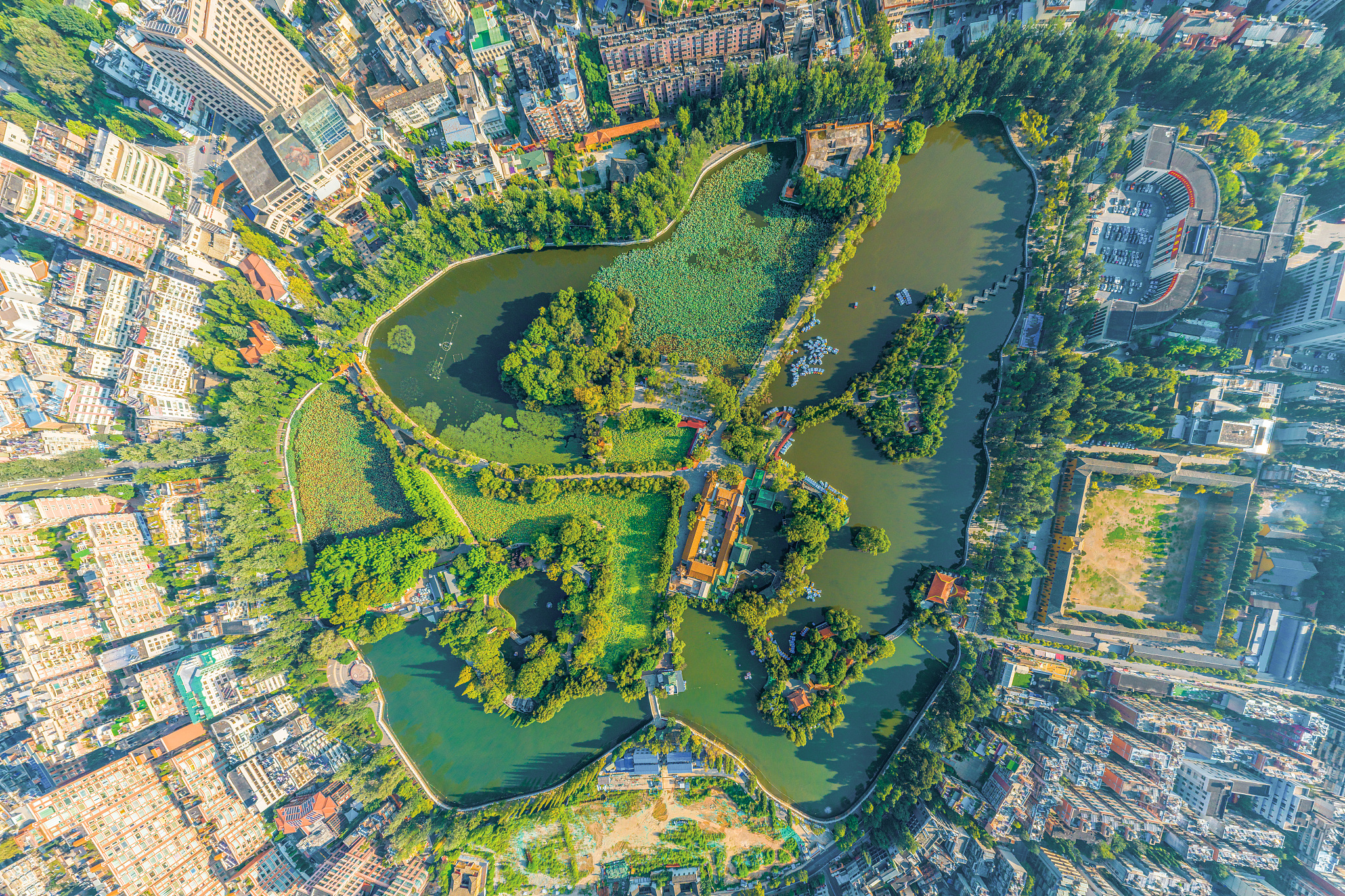 航拍昆明翠湖公园全景高清图