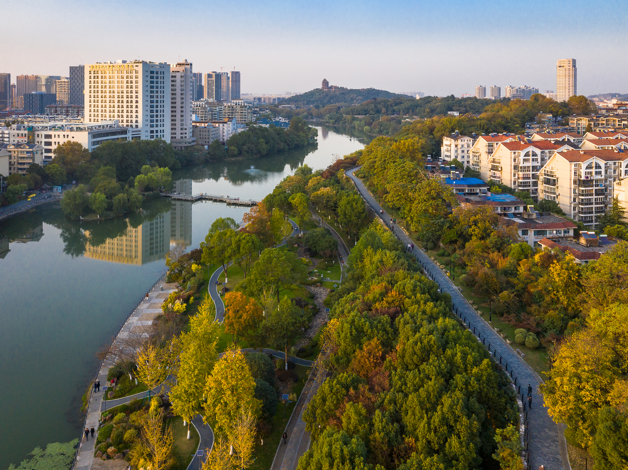 浙江平湖市人居环境治理成效显著：空气清新、水质优良、绿意盎然
