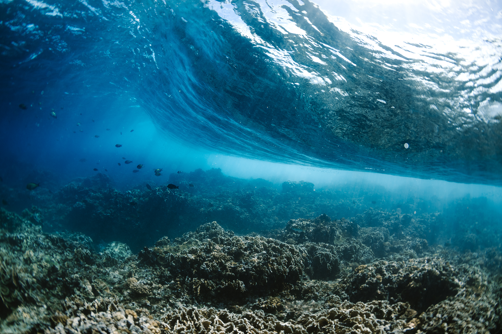 underwater wave breaking on a coral reef
