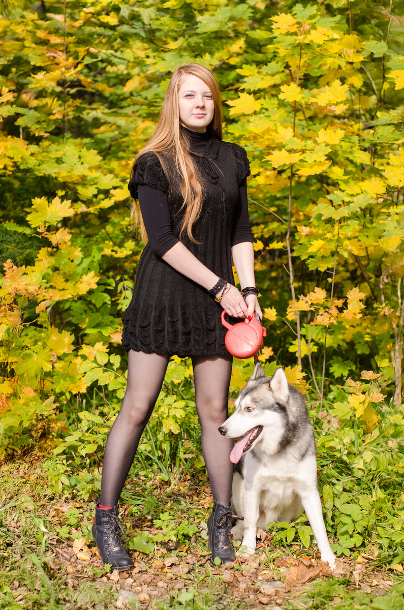 NEW FORESTS期刊推荐理由？