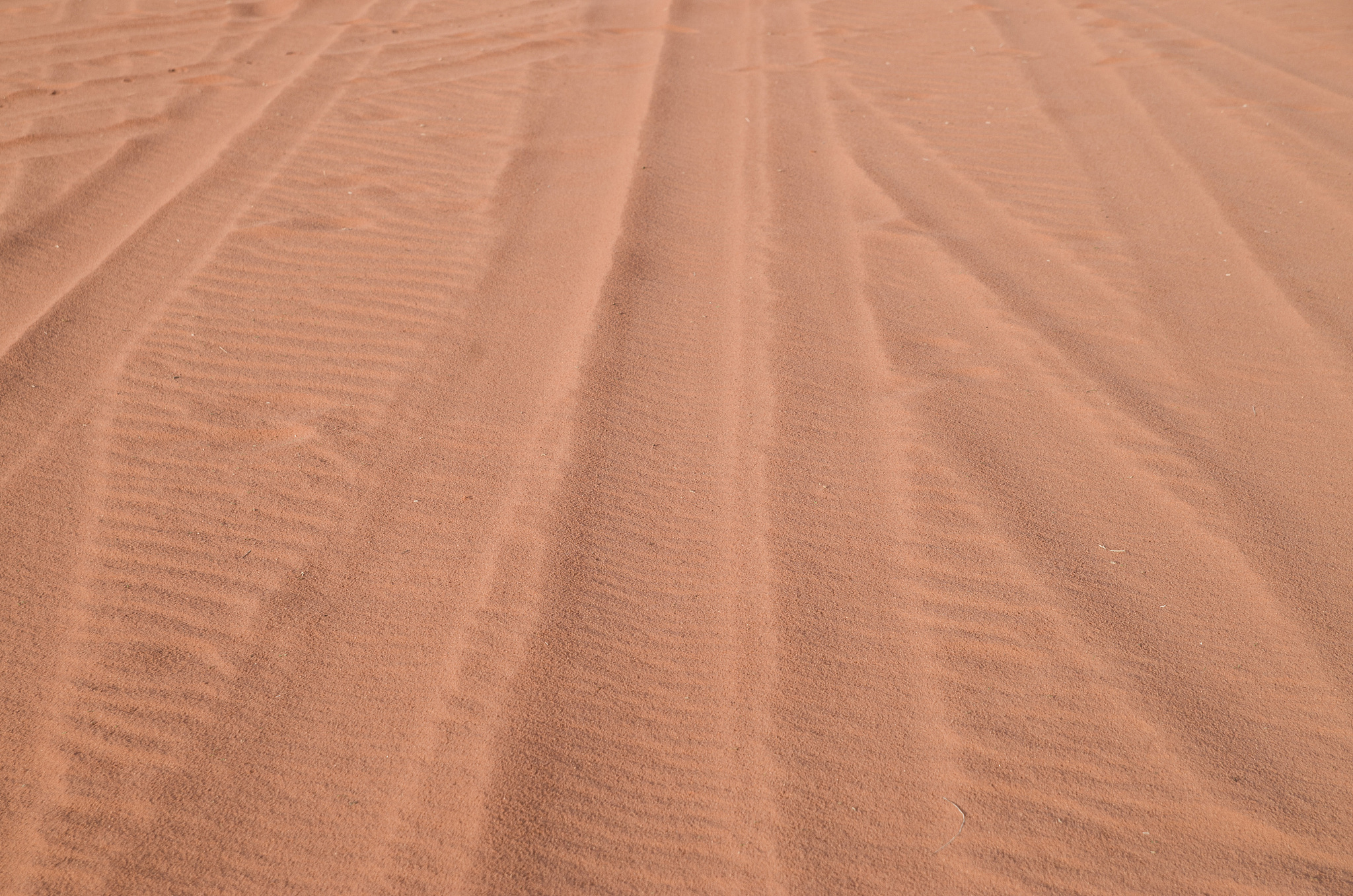 old traces of tires on a jeep in sand in desert wadi rum, jordan