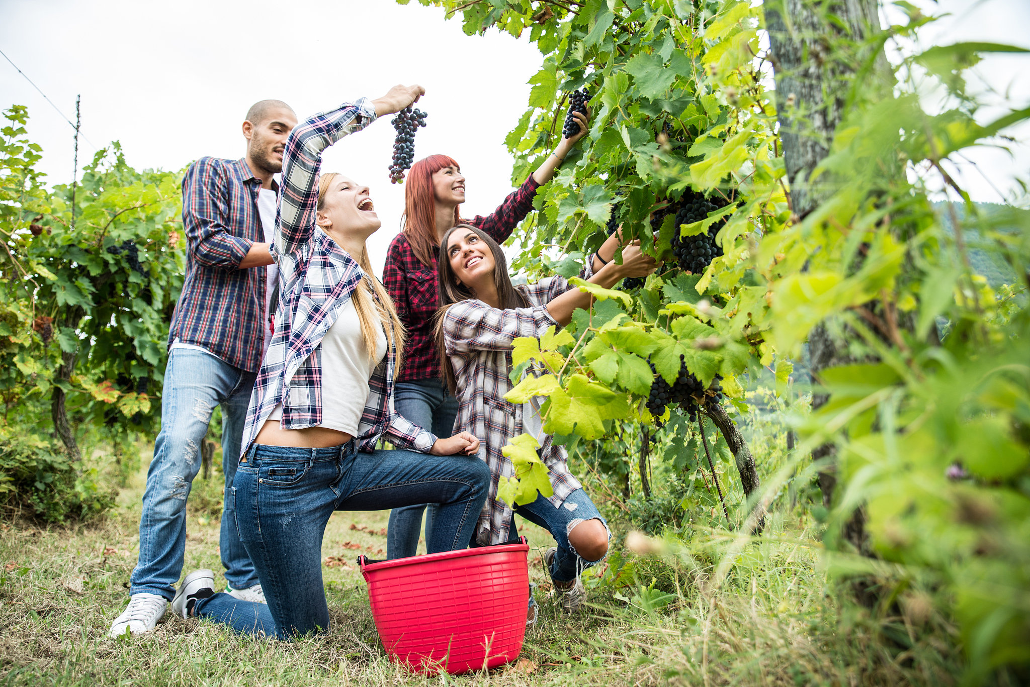 晋城职业技术学院设施农业与装备专业就业前景分析
