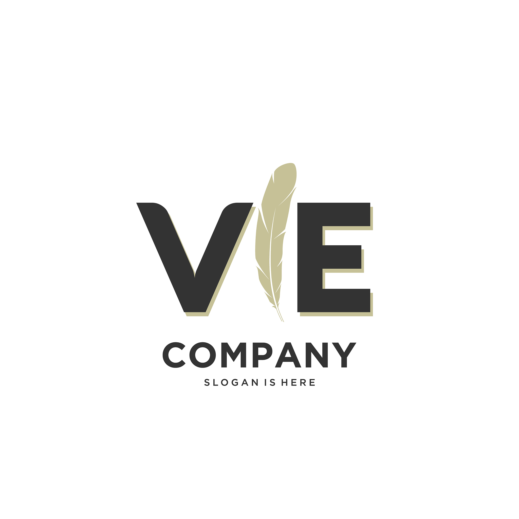 initial ve letter unique attractive creative