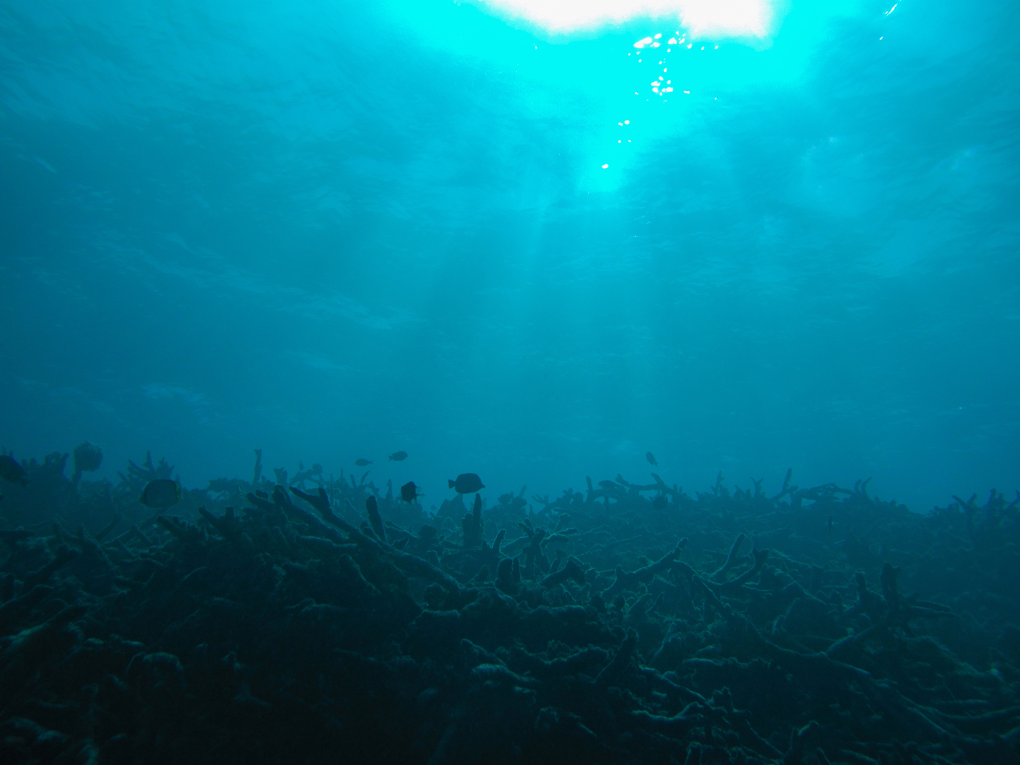 underwater