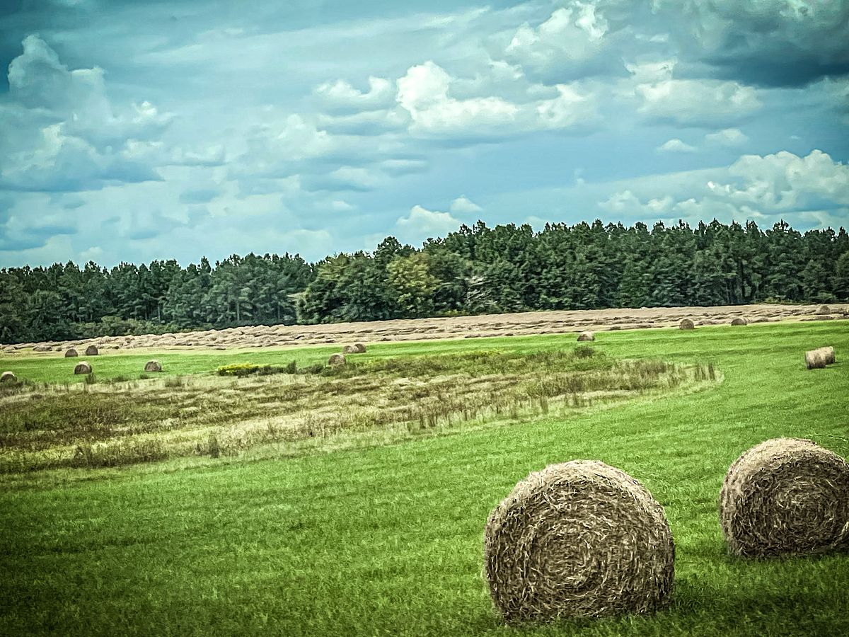 GRASSLAND SCIENCE期刊：探索草地科学的深度与广度