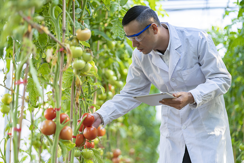 农产品后期生物学和技术：POSTHARVEST BIOLOGY AND TECHNOLOGY期刊