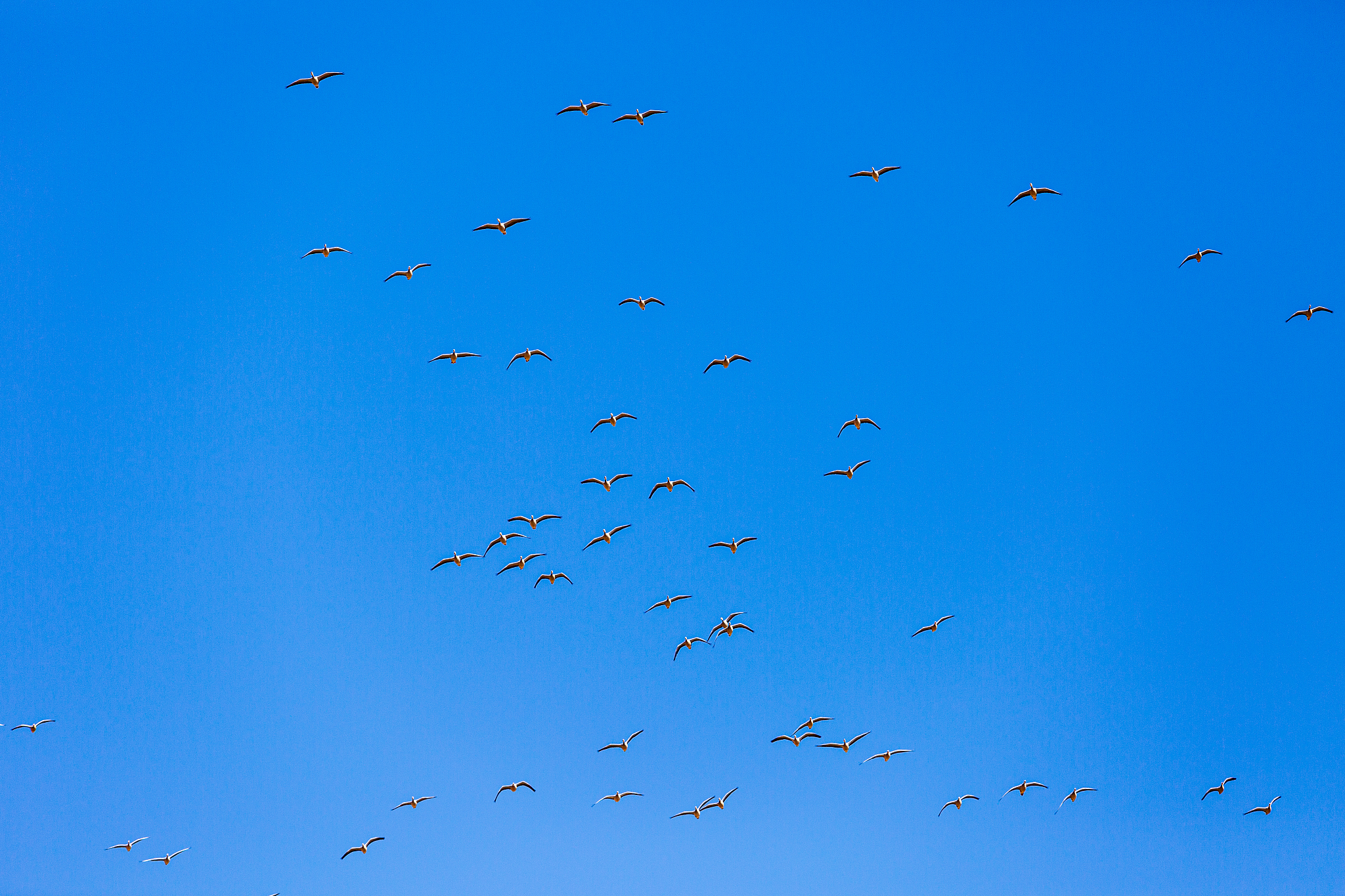 曲靖农校2019年五年制高职专科招生简章