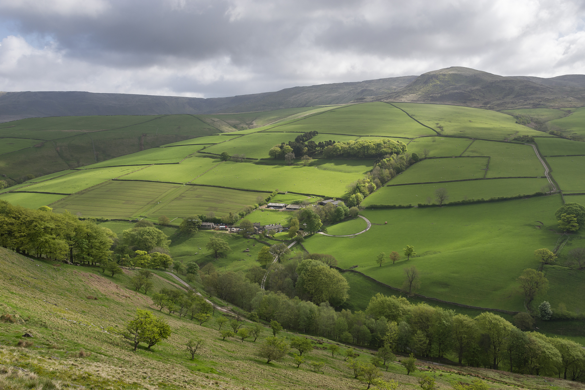kinder low end, hayfield, derbyshire, england