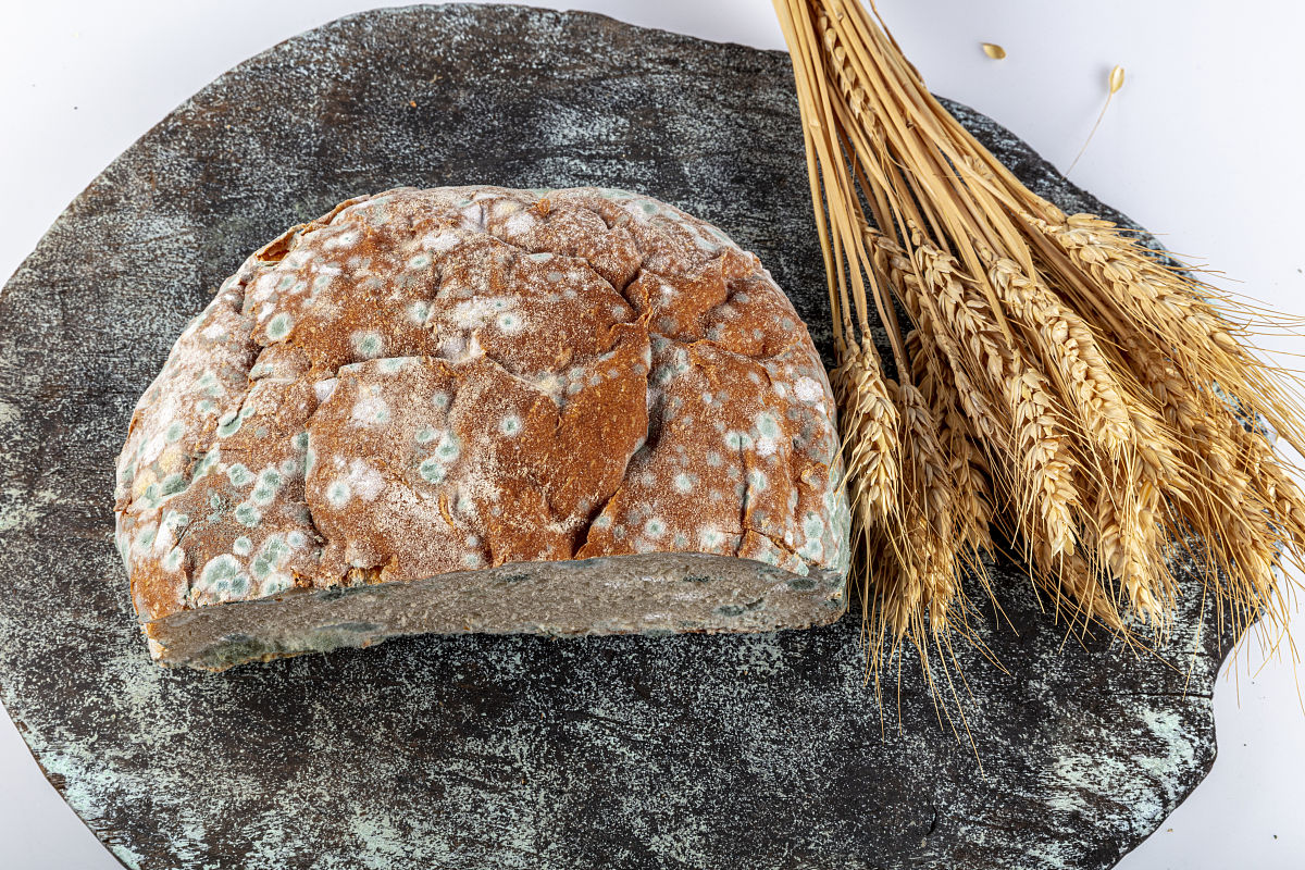 以《三年级时最严重的几次拉肚子》为题写一篇记叙文。详写第一次轮状病毒感染拉肚子上体育课拉肚子来不及去厕所。第二、三、四次分别由于细菌感染过期牛奶发霉面包