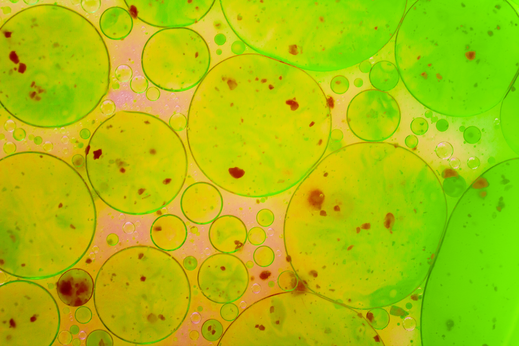 盖氏假单胞菌PG-9对苹果土壤细菌OTU数量的影响