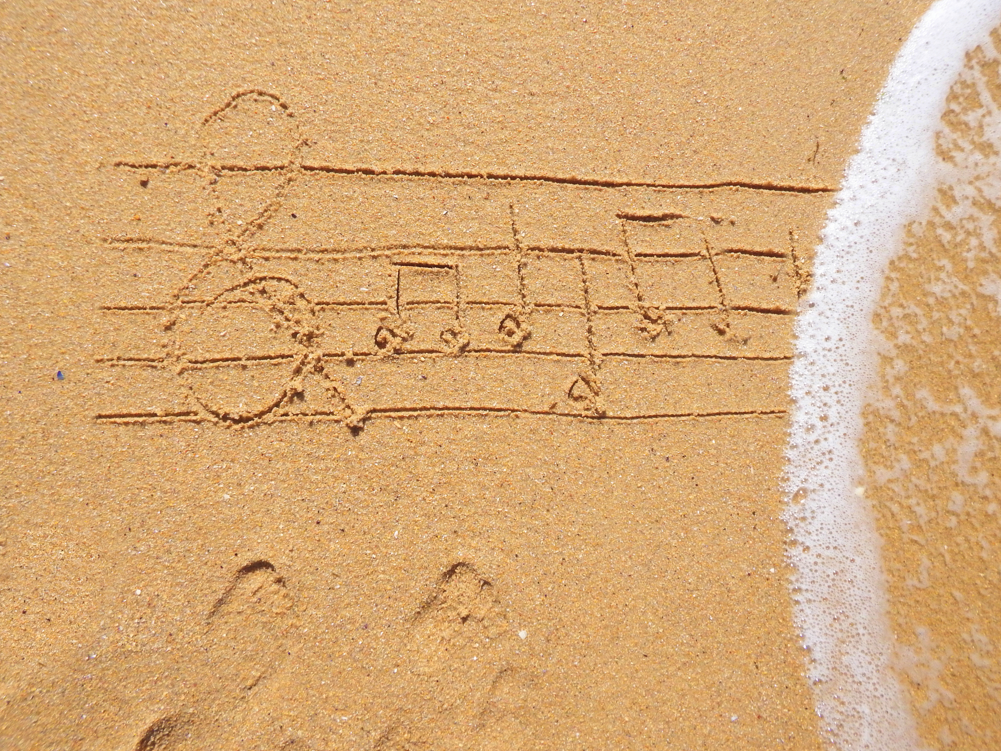 写首夏日歌曲带五线普