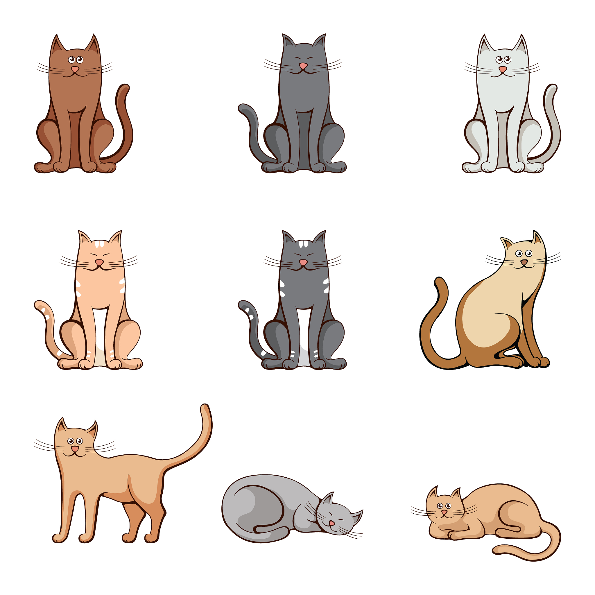 猫咪没有尾巴会怎么样？意外的真相！