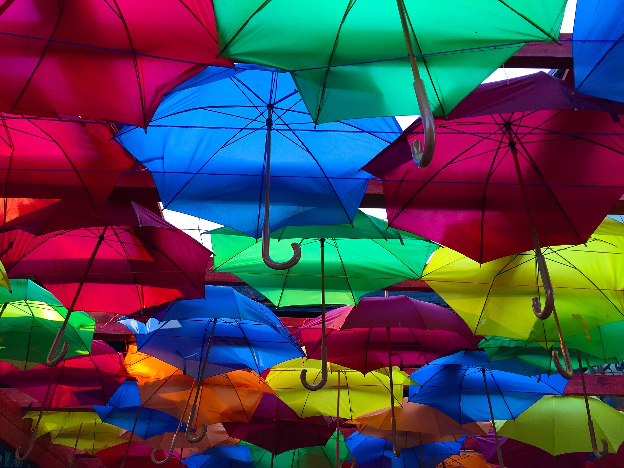 low angle view of colorful umbrellas