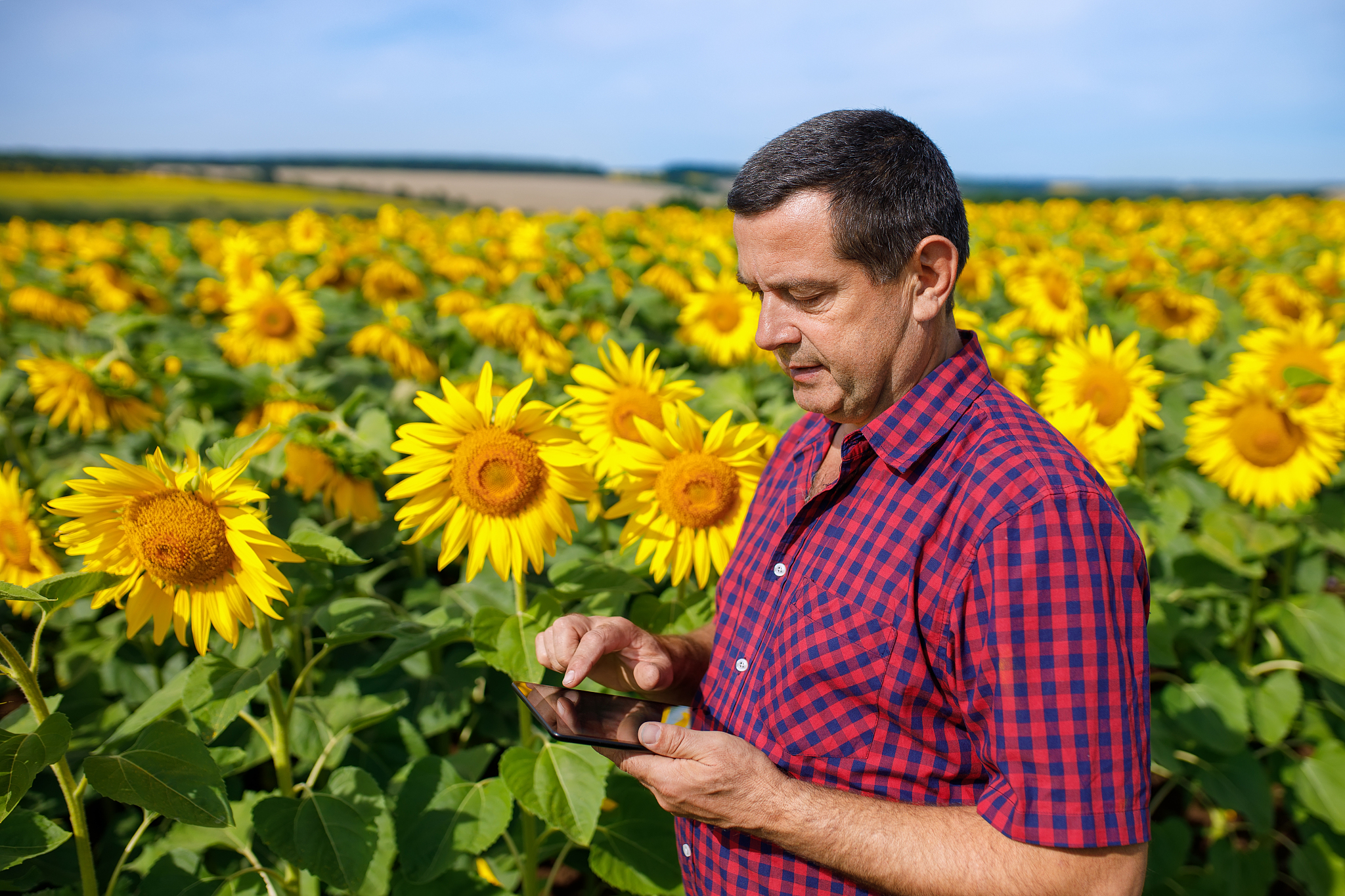 临夏州农业学校2019年招生专业 - 培养农业人才，助力乡村振兴