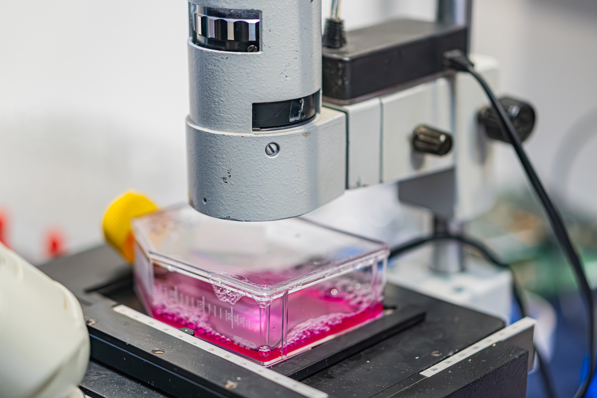 透射电镜发展史：从早期到现代