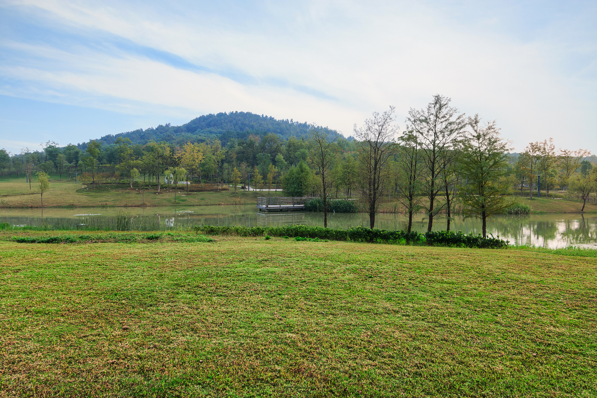 高淳区土地总面积为79023km2其中耕地40730km2林地2918km2草地358km2建设用地10863km2水域19100km2。在全区土地总面积中耕地占比最大占5154林地占369草地占045水域占2417建设用地占1375。
