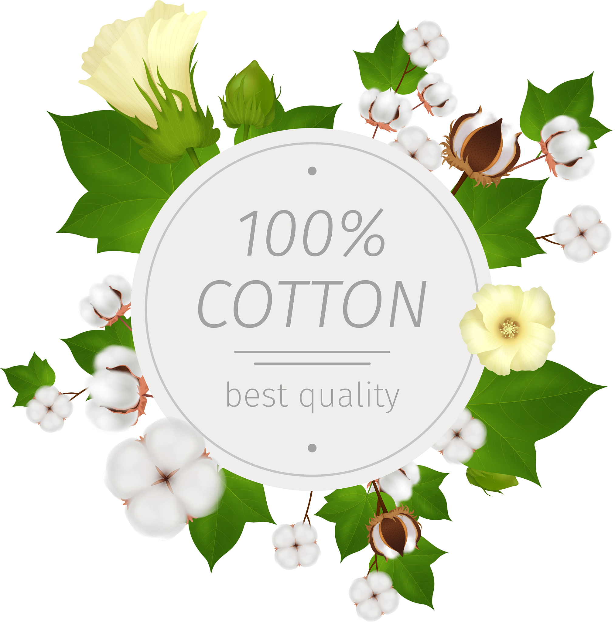 棉花旺季和淡季：生长周期及影响因素