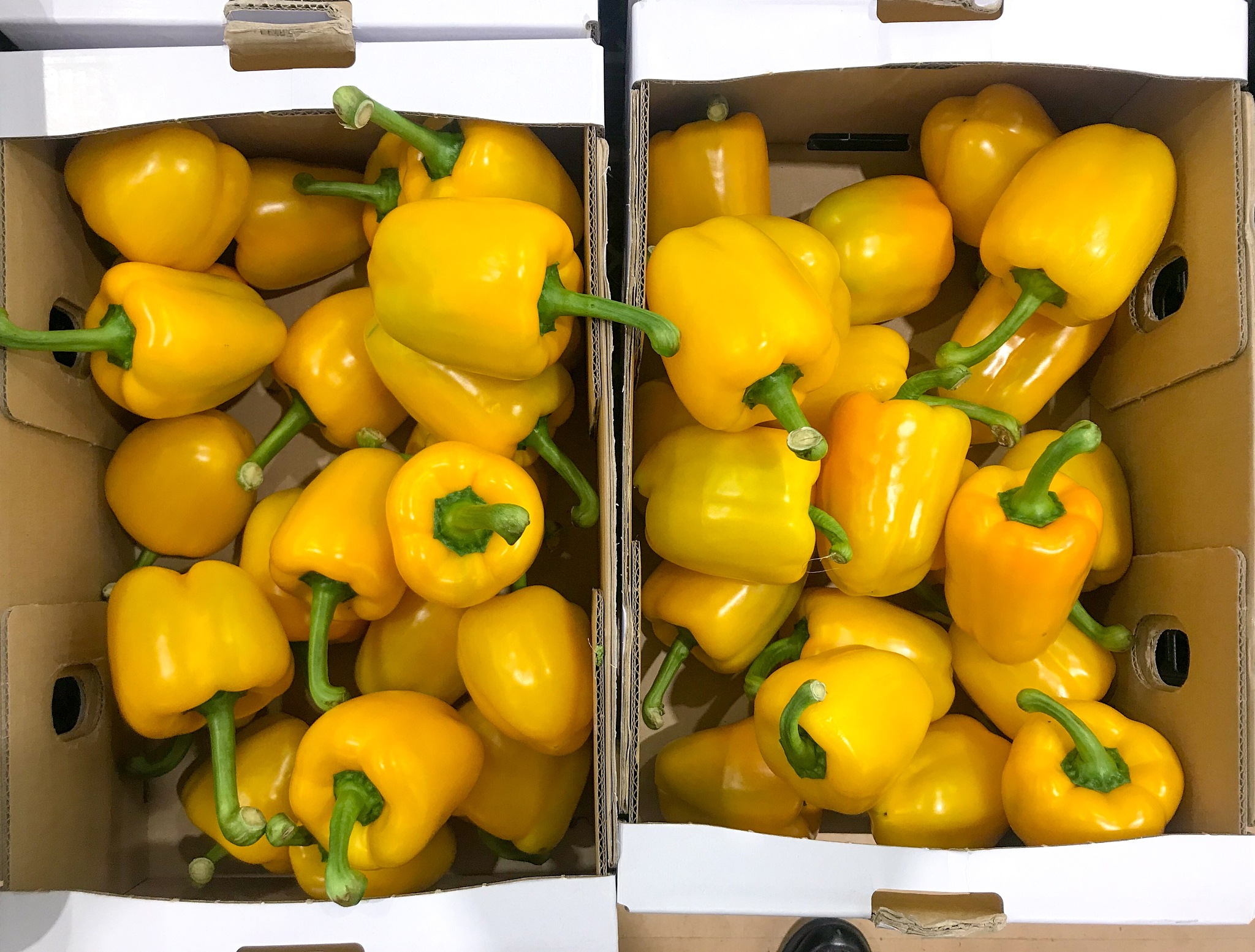 福建黄辣椒放一个月产生气体还能吃吗？