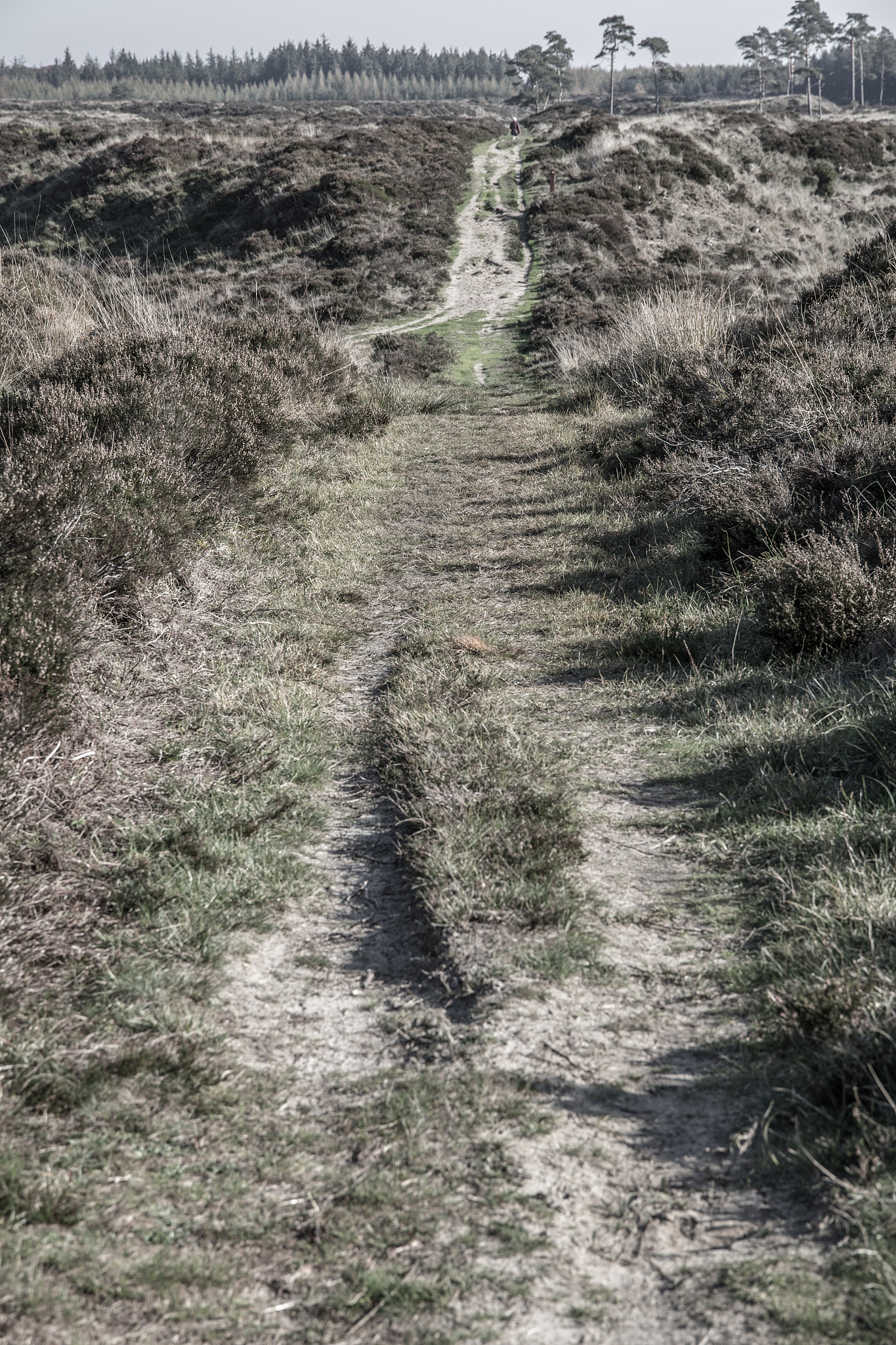 酶反应的最适pH：影响因素及应用意义