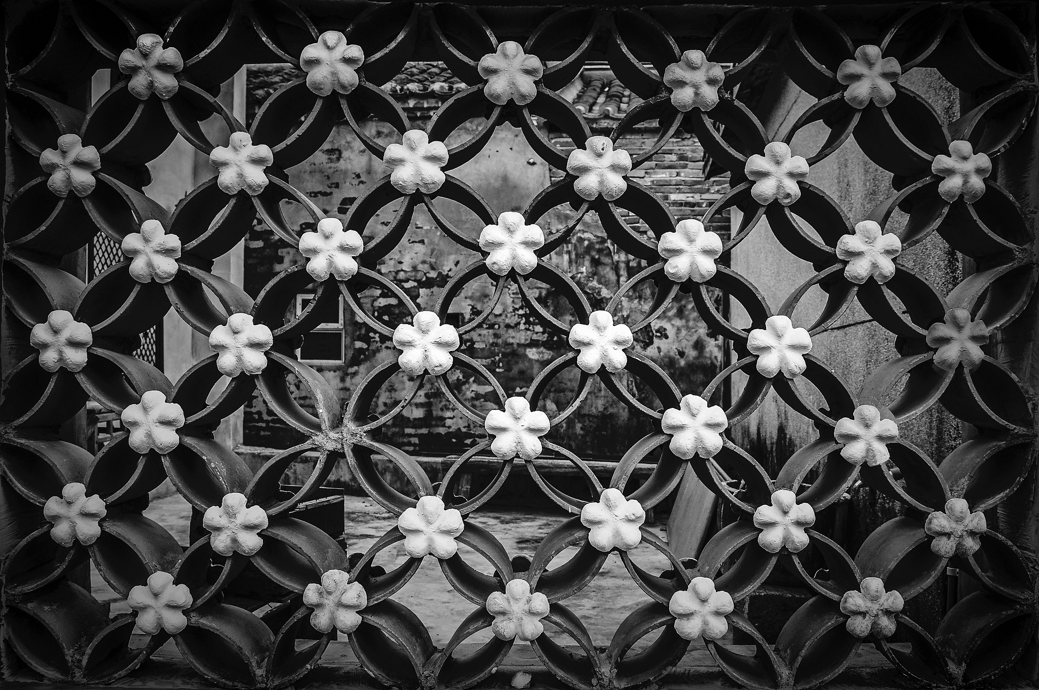 蛇与花内衣设计：神秘与美丽交织的时尚理念