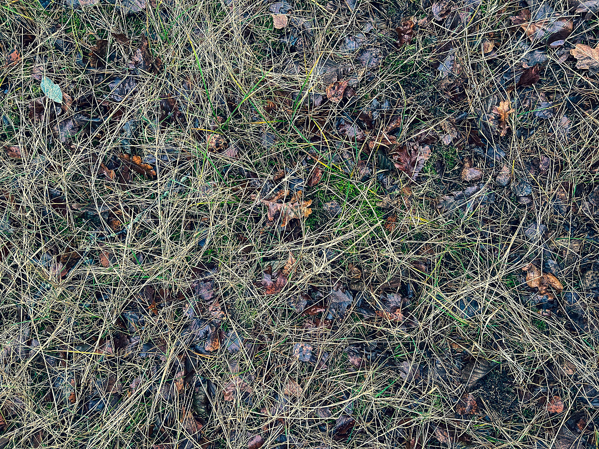 土壤生态系统的空间格局与生态分区