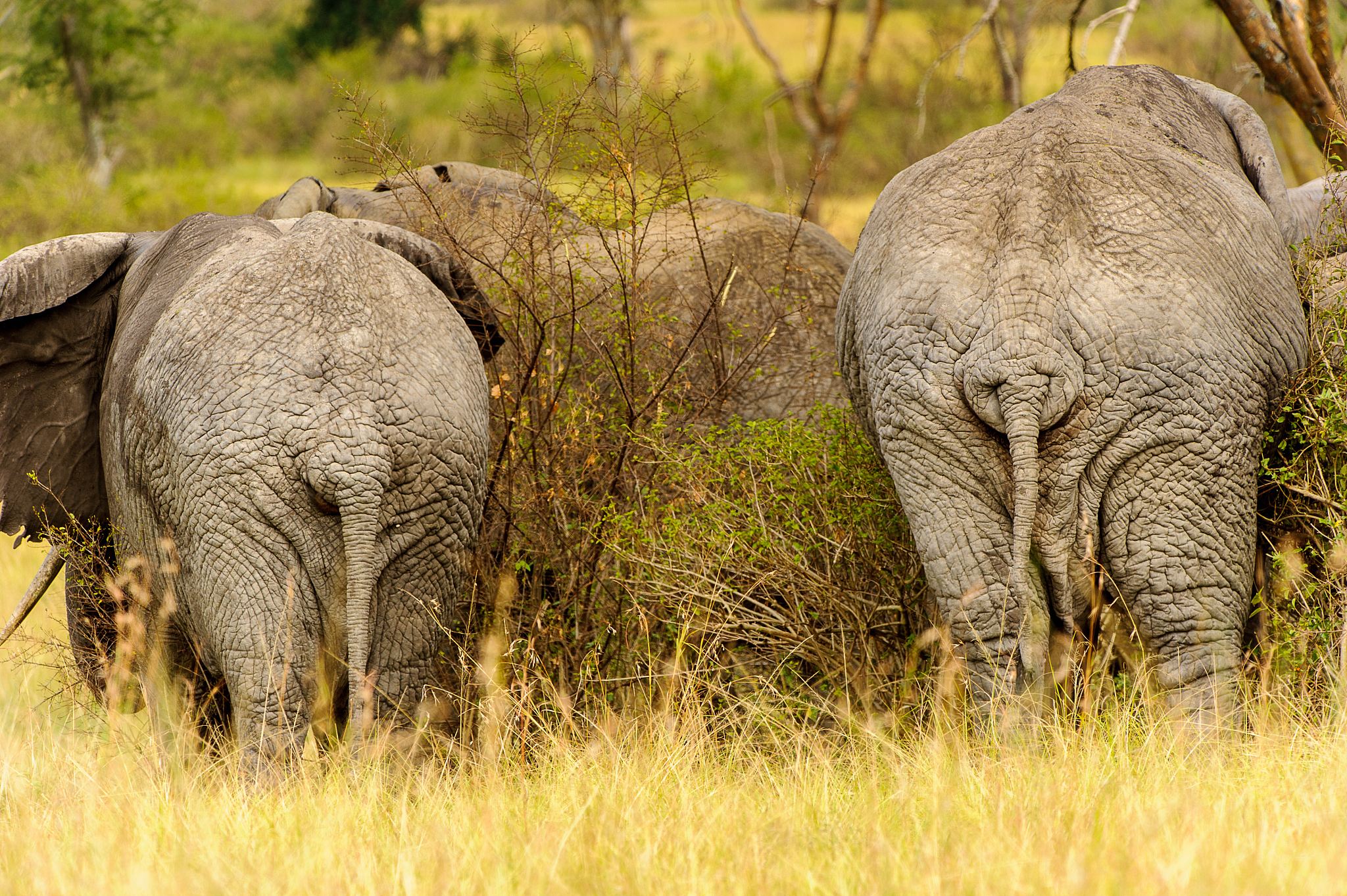 乌干达Radio One FM 90 - 坎帕拉最受欢迎的广播电台