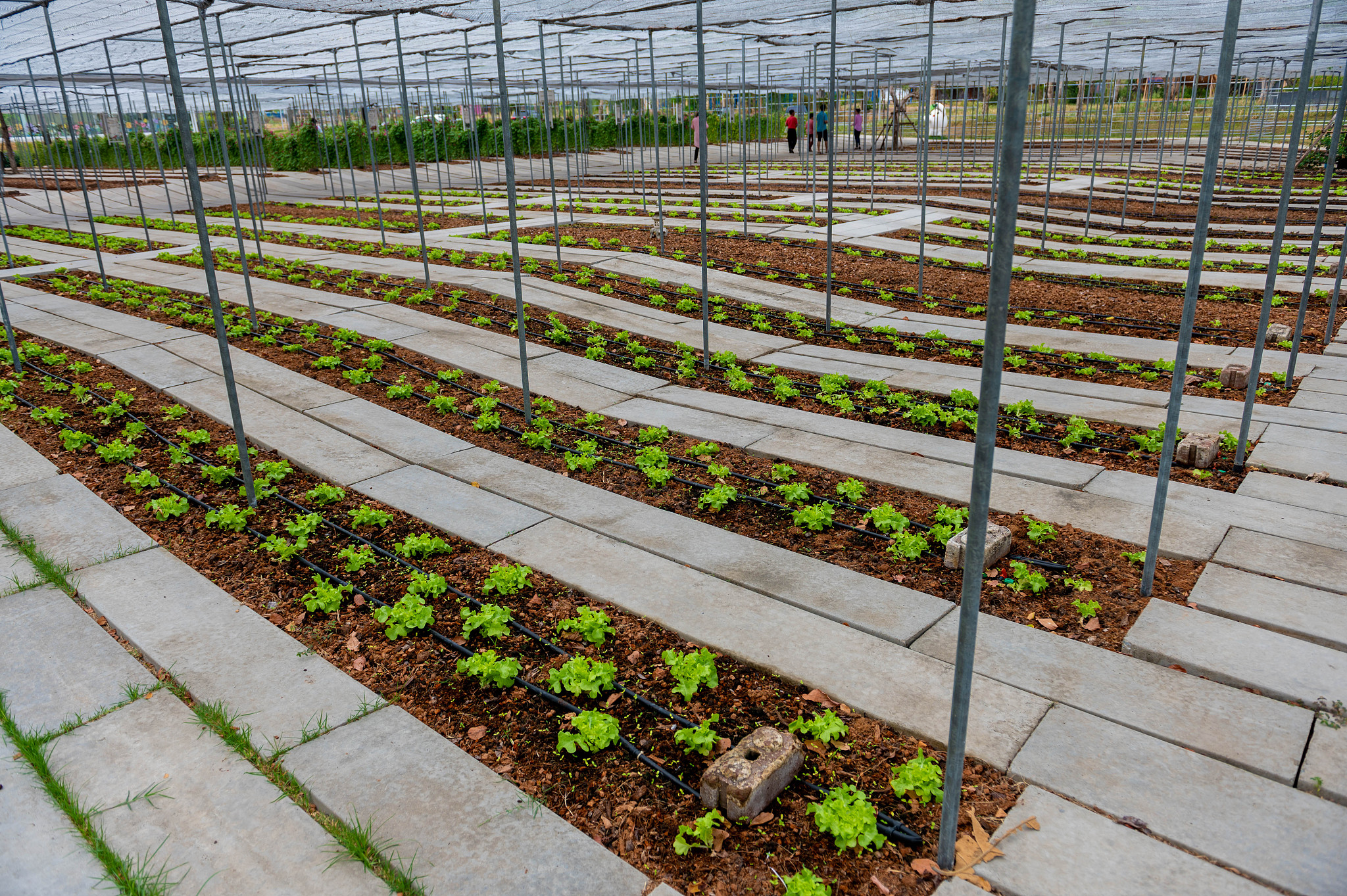 云南省曲靖农业学校2022年有哪些专业