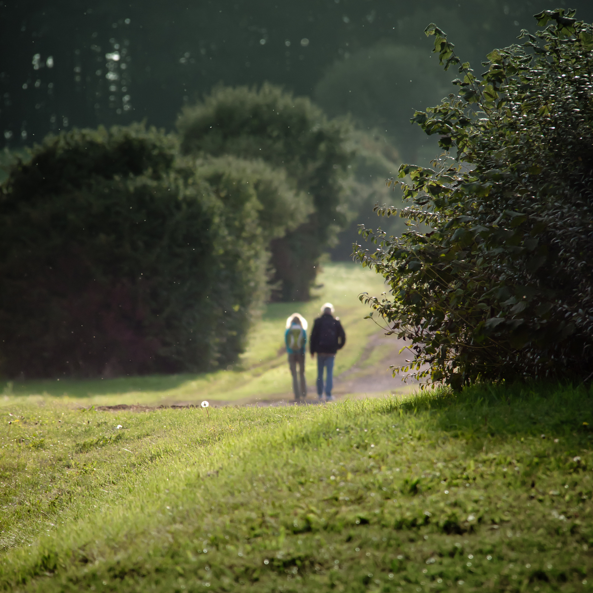 久别重逢的母子：温馨故事，感动瞬间