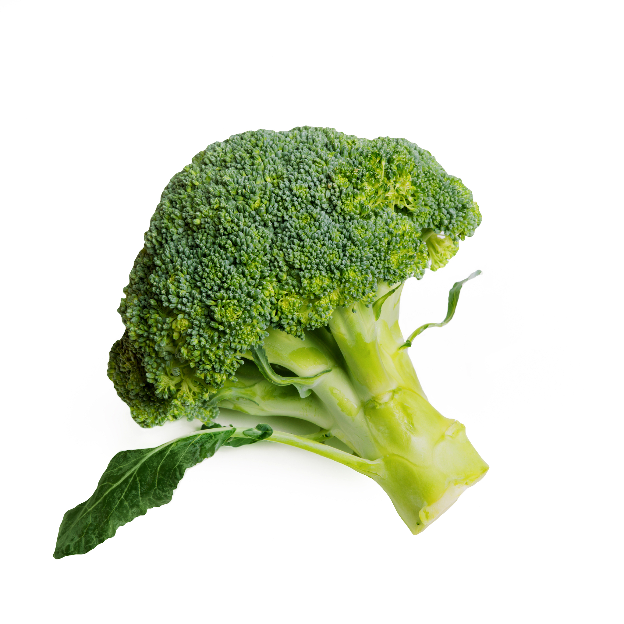 云南经济管理学院康复护理学院医学营养专业介