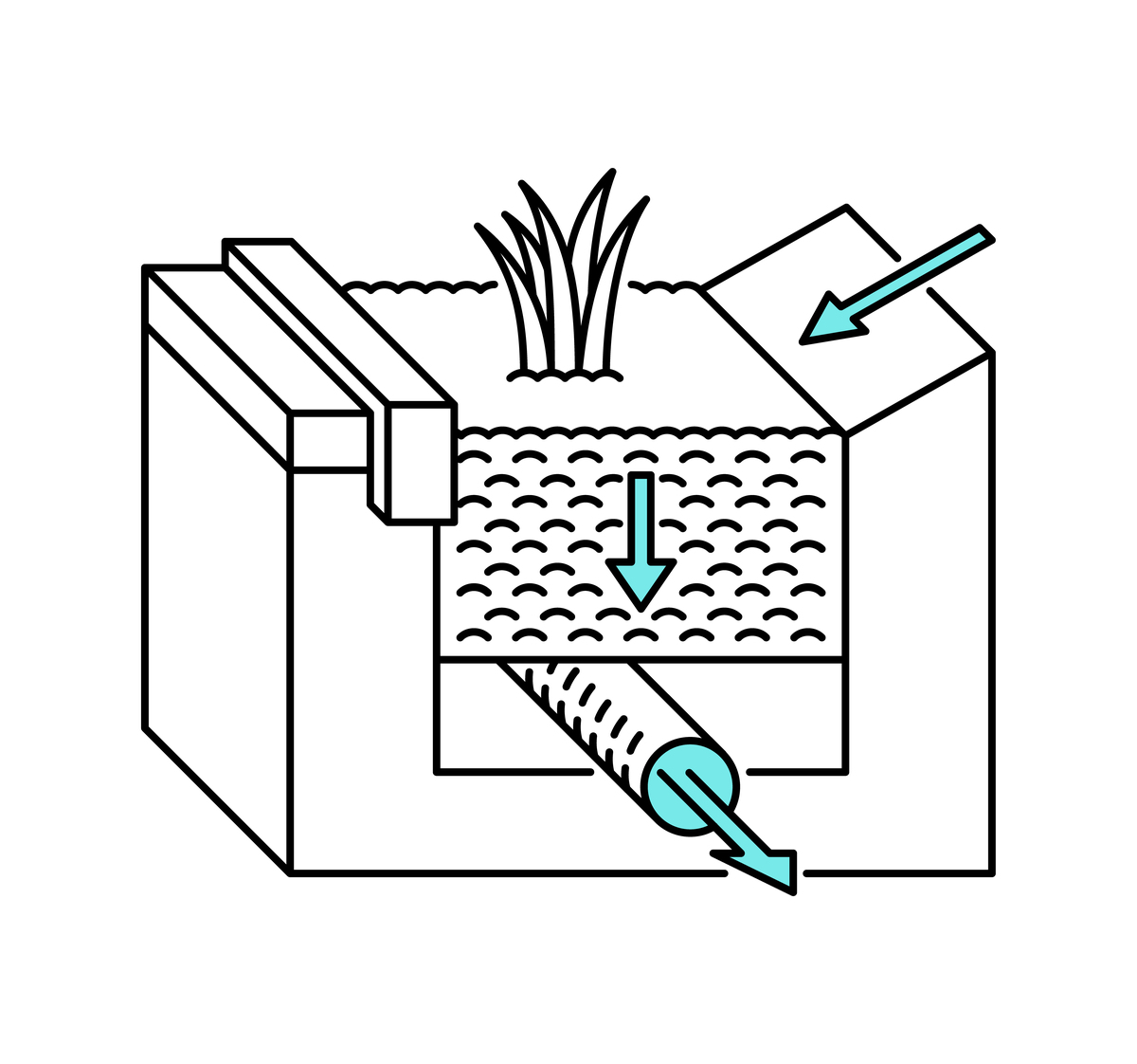 钛基电极在电化学催化污水处理中的应用及改性元素