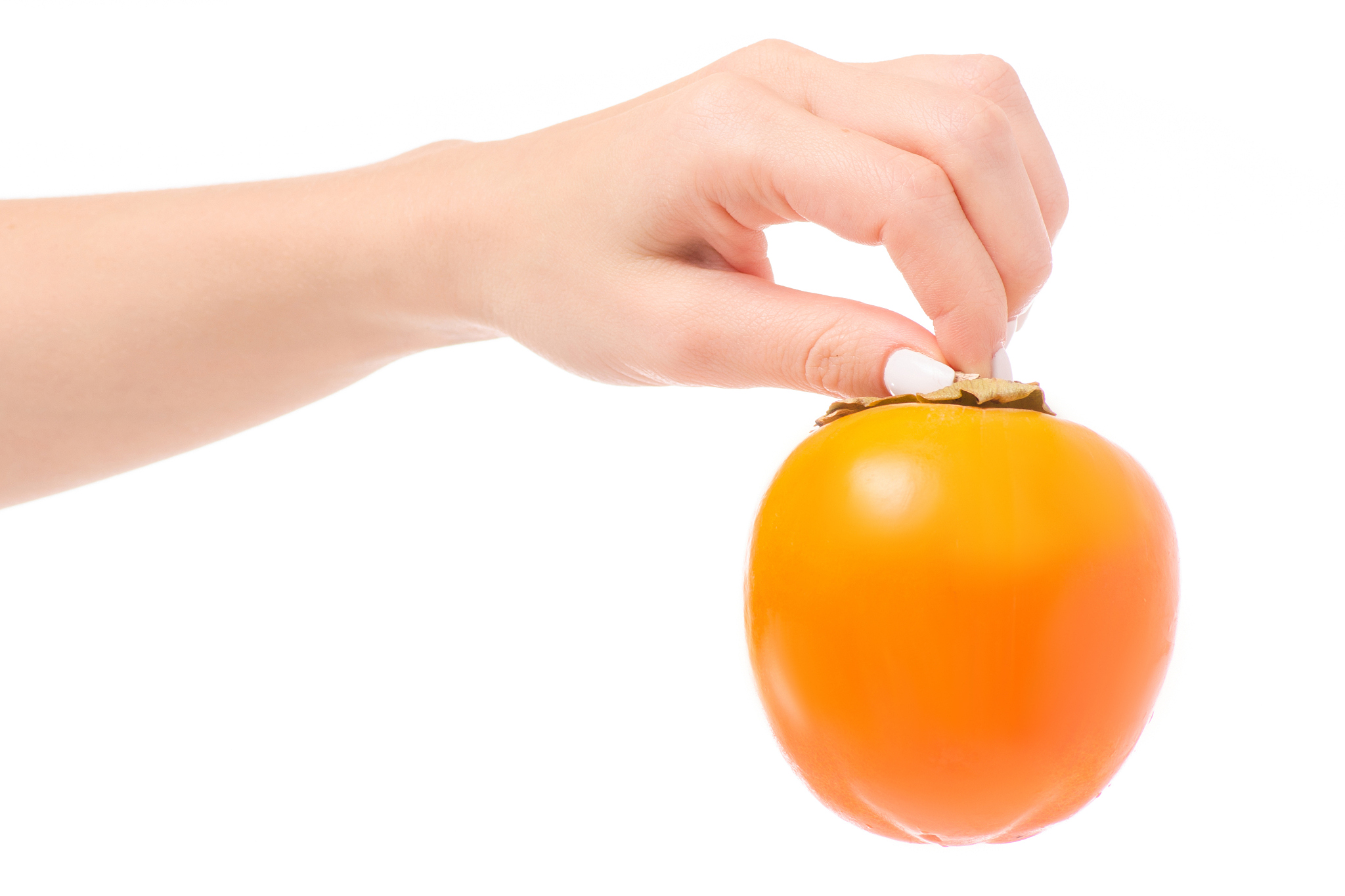 persimmon sharon in hand