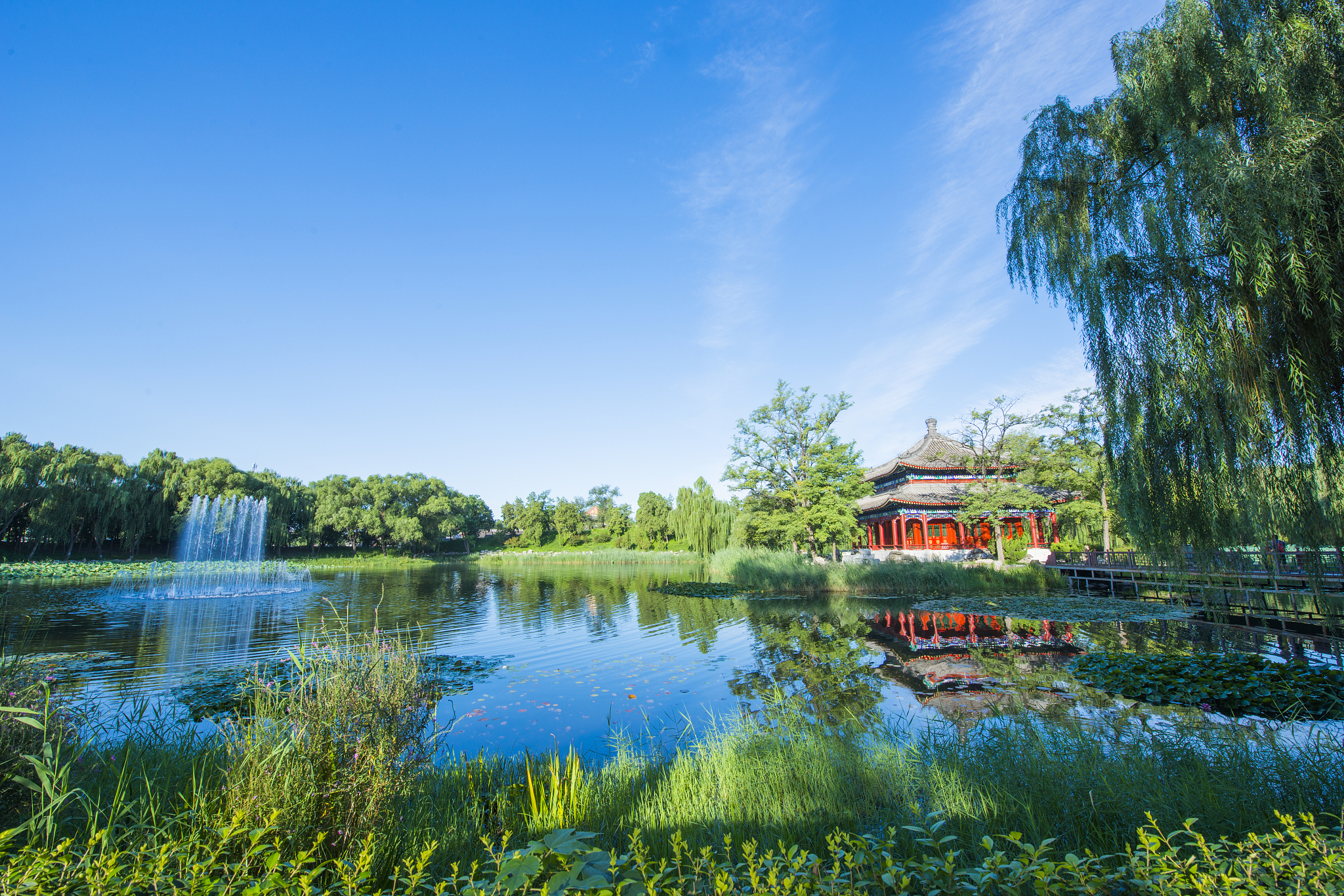 北京圆明园公园内景色一角