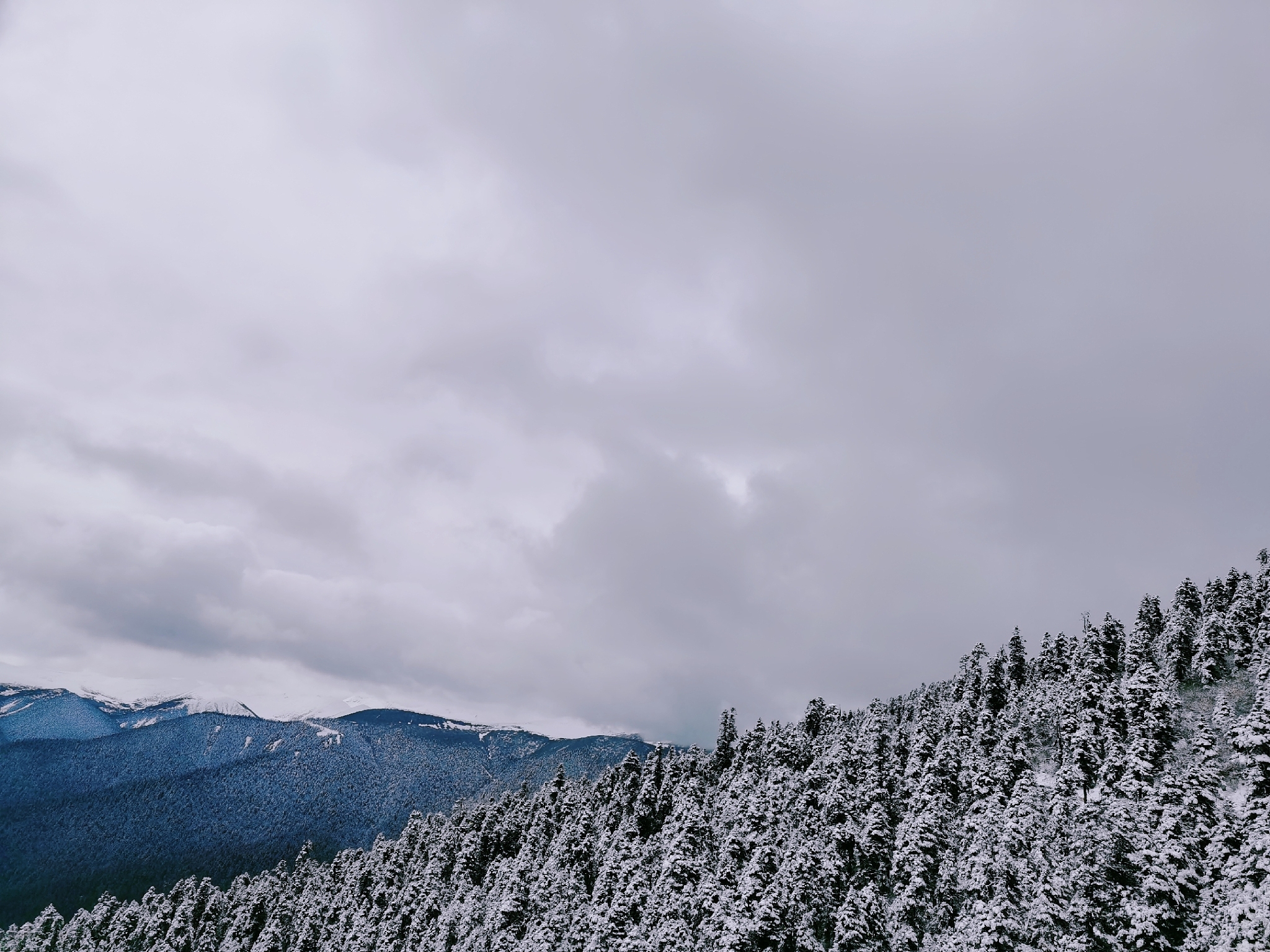 好想你公司发展分析：现状、问题、战略与保障措施