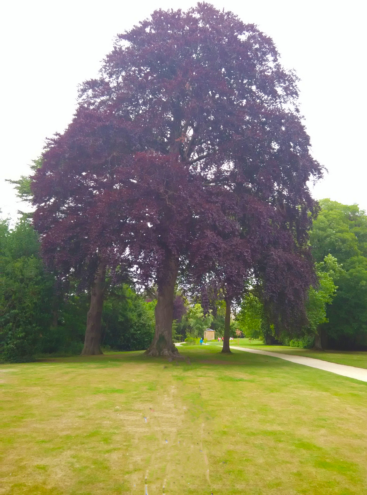 湖北园林工程技术学校2023年招生专业及介绍- 助您规划未来