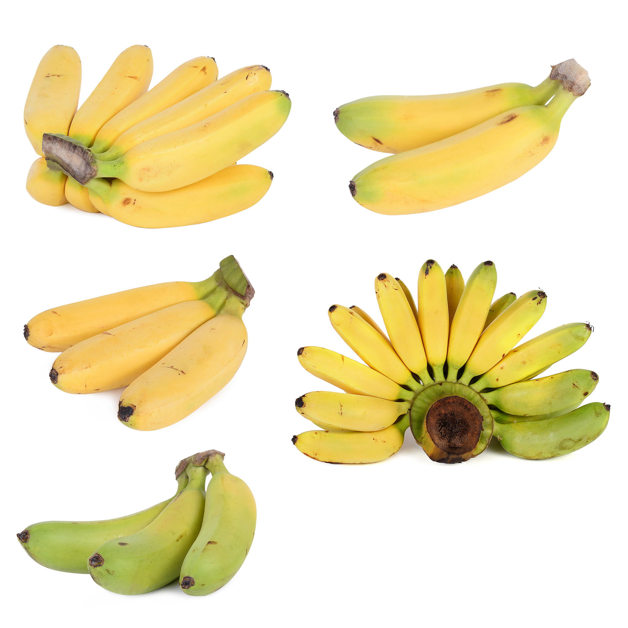 penemu pisang