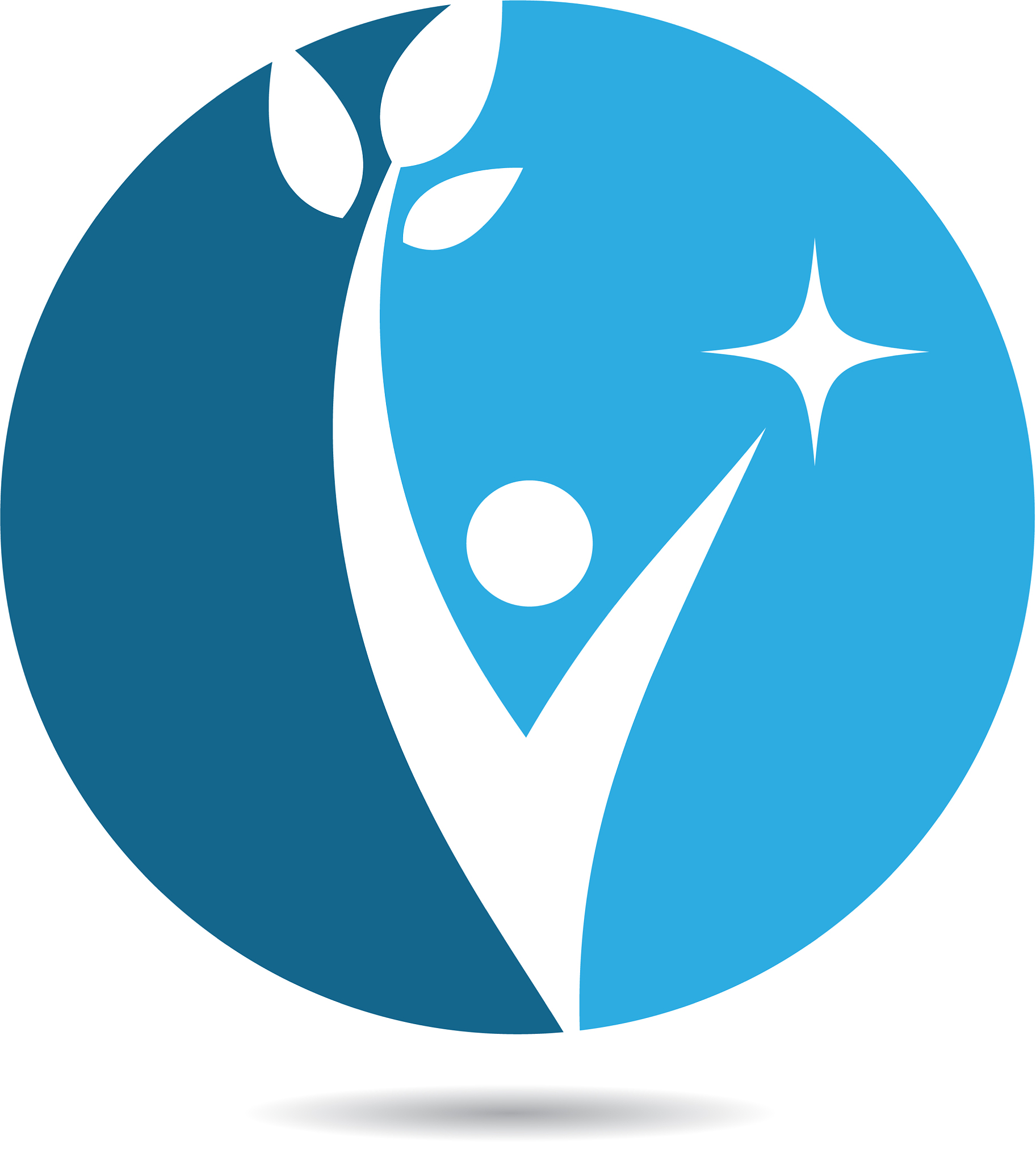 health icon