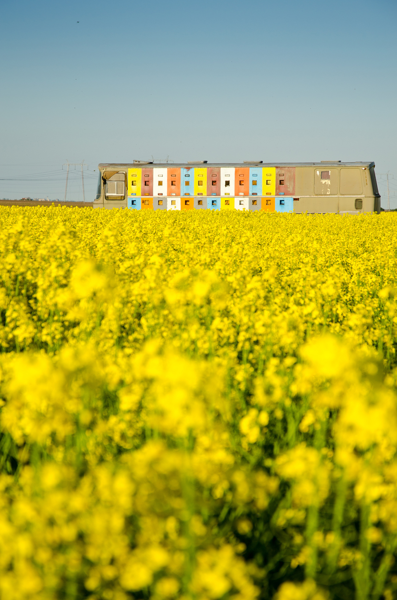 邢台农业学校2023年新址：打造现代化农业教育中心