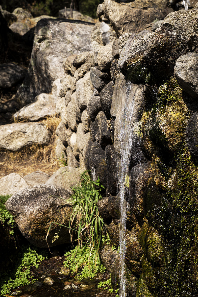 洒水器总流量计算公式及影响因素