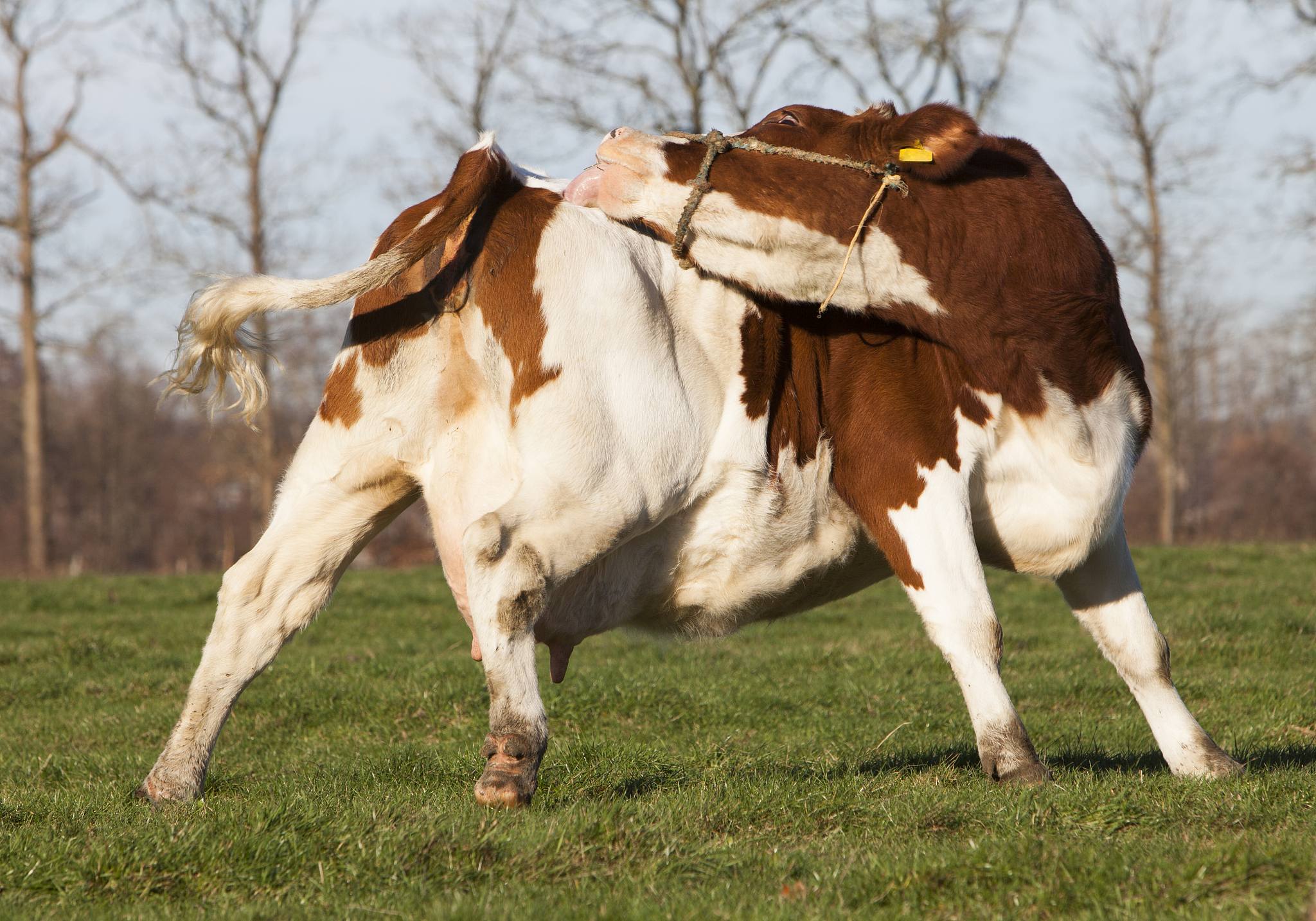 幼儿园小班个案观察记录：探索新环境，激发好奇心